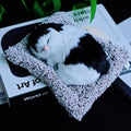 Realistic Sleeping Tuxedo Cat with Meow Sound – Lifelike Black & White Faux Fur Kitten on Plush Cushion | Zen Stress Relief & Aesthetic Room Decor