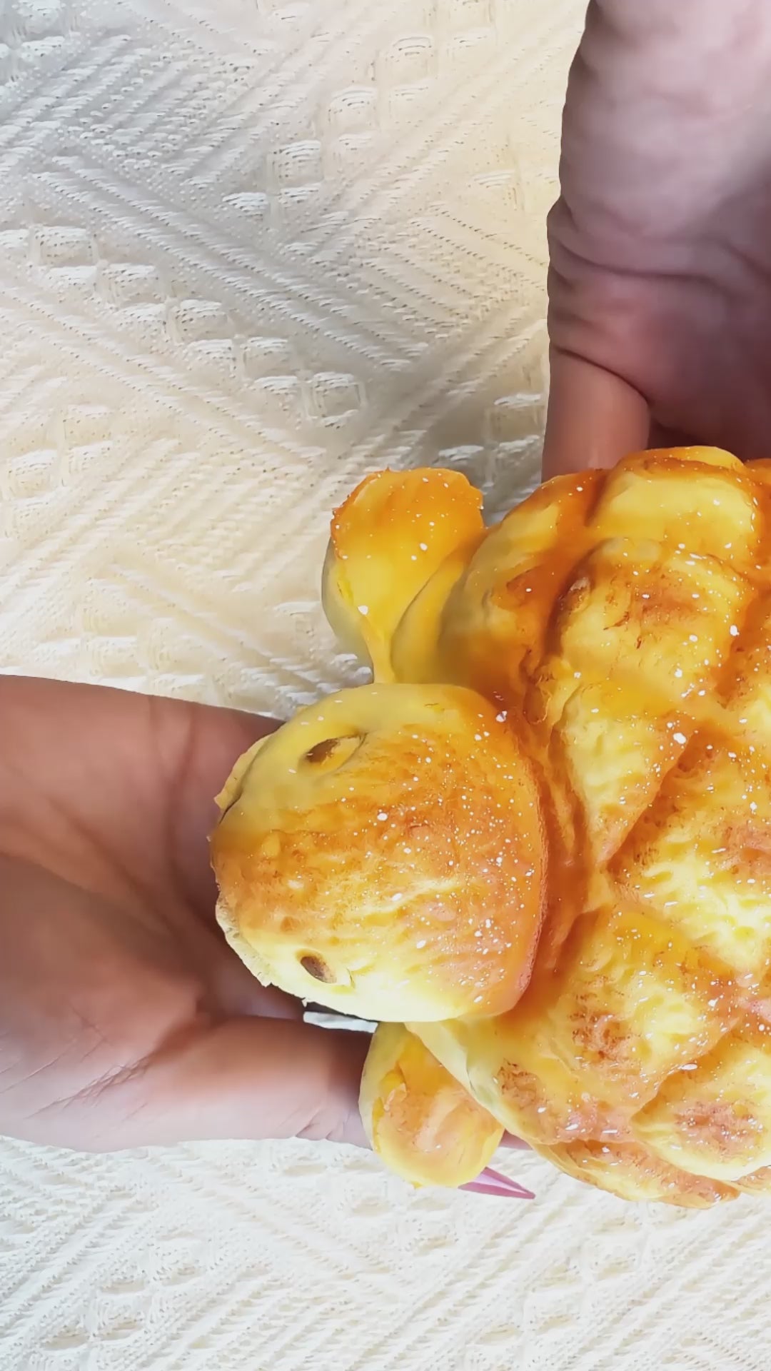 Jumbo Turtle Melonpan Squishy — Ultra-Soft Slow Rising Bread Bun Stress Toy — Realistic Scented Kawaii Fidget